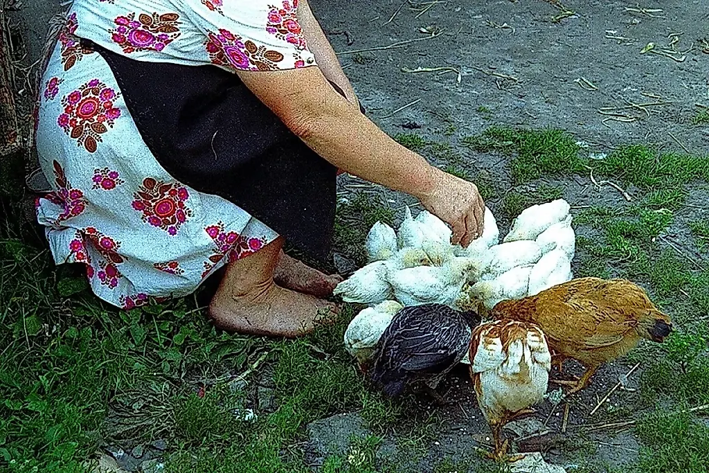 Кого кормить урожаем, а кого — не стоит
