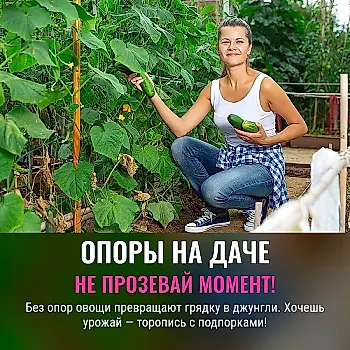 Когда ставить опоры для растений на даче?