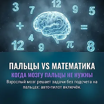 Зрелость мозга: математика без пальцев