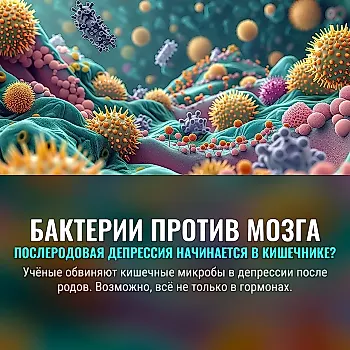 Связь кишечных бактерий с послеродовой депрессией