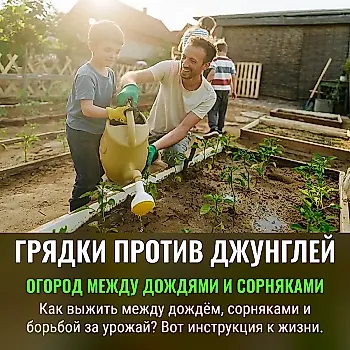 Чек-лист огородника: как выжить между сезонами