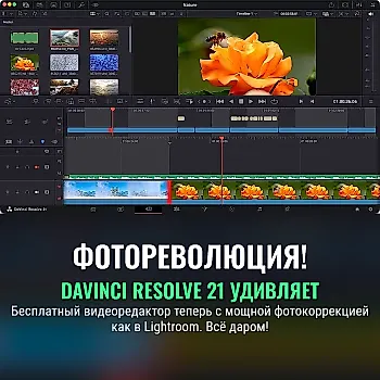 DaVinci Resolve 21: бесплатный видеоредактор теперь с инструментом для фотоколлажей