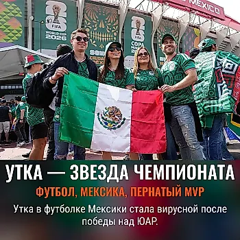 Утиная слава на ЧМ по футболу