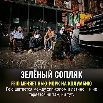 Feid, «El Moco Verde» – главная новинка латинской музыки недели