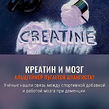 Креатин против Альцгеймера: спортивное питание в лабораторных халатах