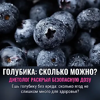 Диетолог рассказал о безопасной норме голубики