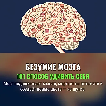 101 забавный факт о мозге и сознании