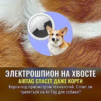 Как я отслеживаю своего корги с помощью AirTag
