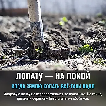 Осенняя перекопка: лопата нужна не всегда