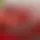 Видеогаджет на колесах: как Buick Centurion опередил время