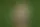 «Тамагочи-переросток»: гигант среди игрушек