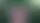 Apple может сохранить Camera Control в iPhone 18