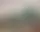 Metropolitan Museum Sued Over Alleged Nazi-Looted Van Gogh