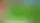 Plants vs Zombies: Replanted — ремейк культовой игры с подвохом