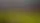 Как смотреть Six Nations за $2.50