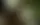 Оркестр для Last Of Us