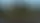 Секреты "живых" скульптур Disney: как создают топиари для фестиваля цветов EPCOT