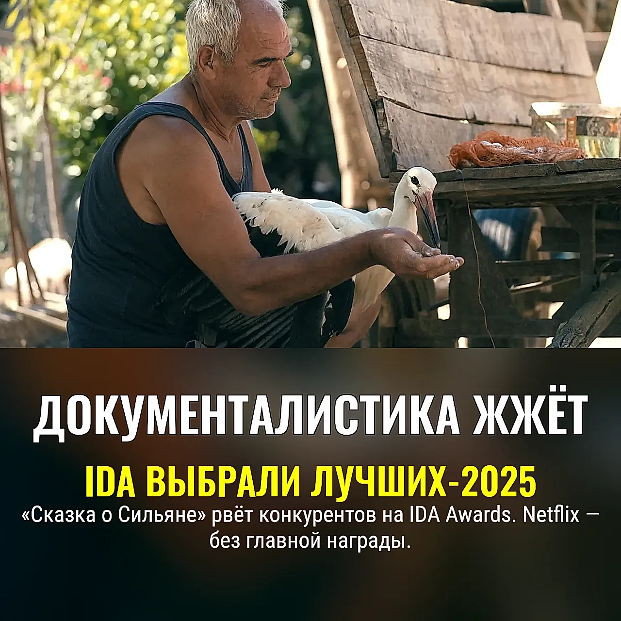 Триумф «Сказки о Сильяне» и катастроф в тропиках: итоги премии IDA