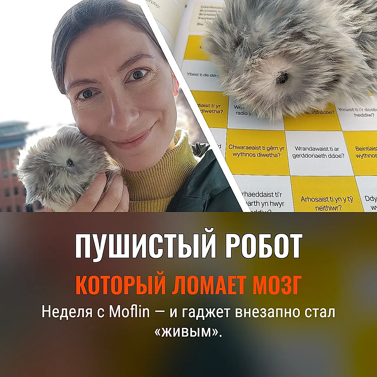 Неделя с роботом‑питомцем Moflin