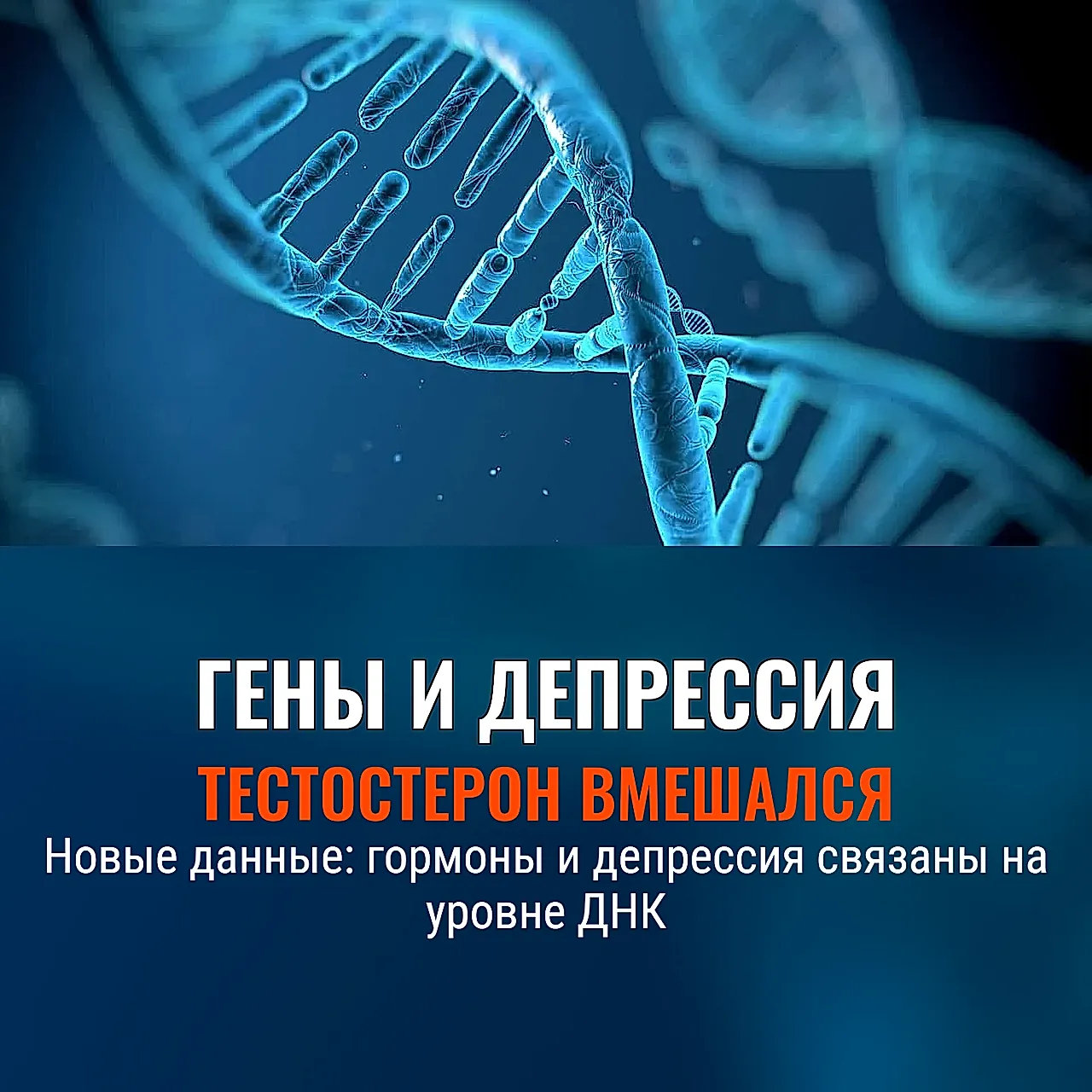 Генетика, тестостерон и депрессия
