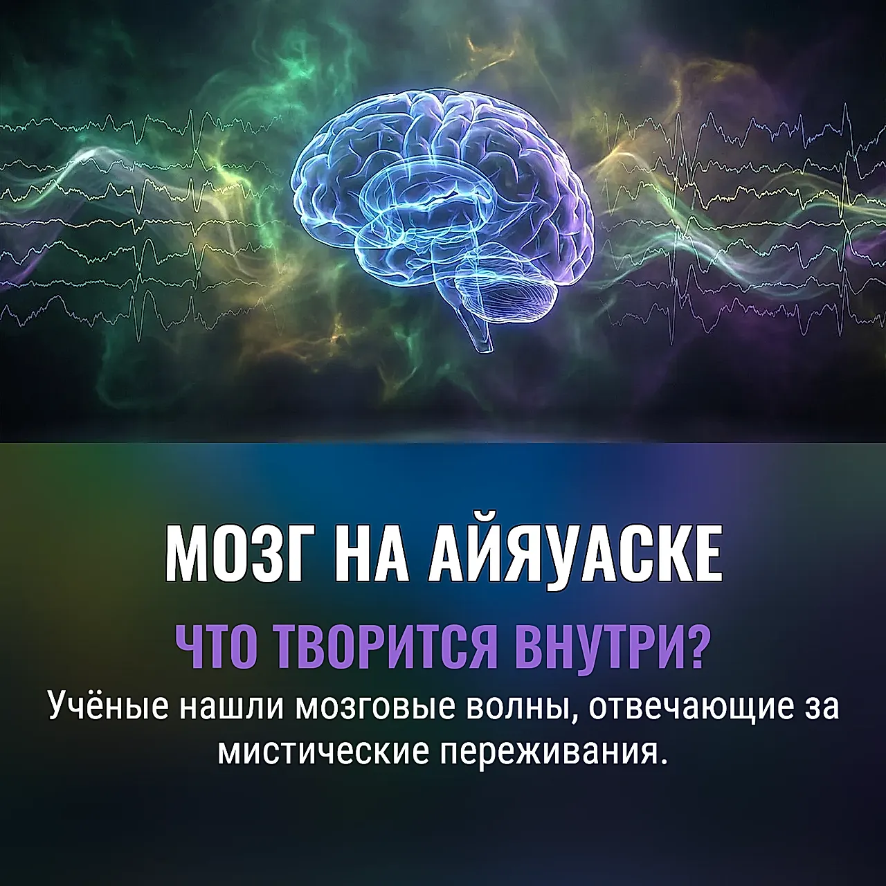 Мозг под кайеной правды