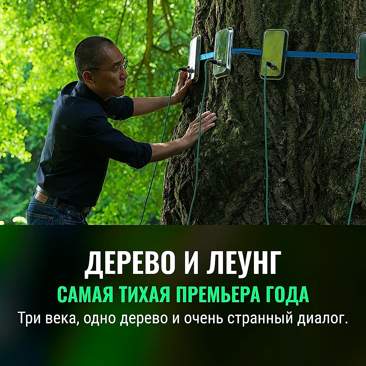 Тони Леунг и дерево