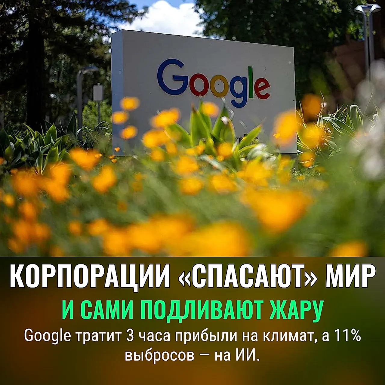 Google снова спасает планету… на пару часов
