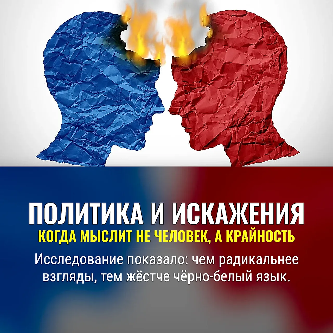Когда политика превращает мозг в черно-белый экран