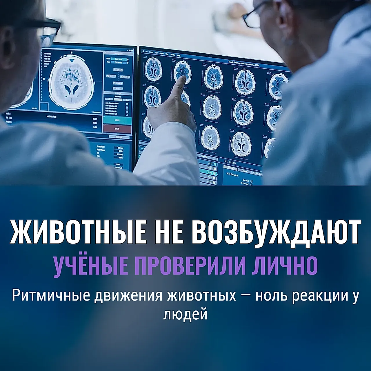 Когда учёные включили животным "кино"