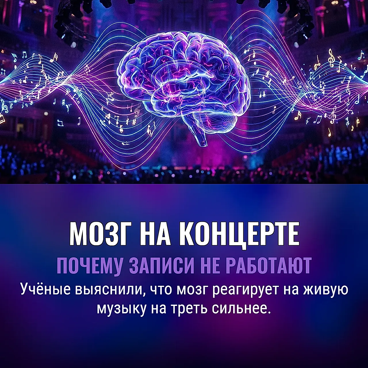 Когда мозг идёт на концерт