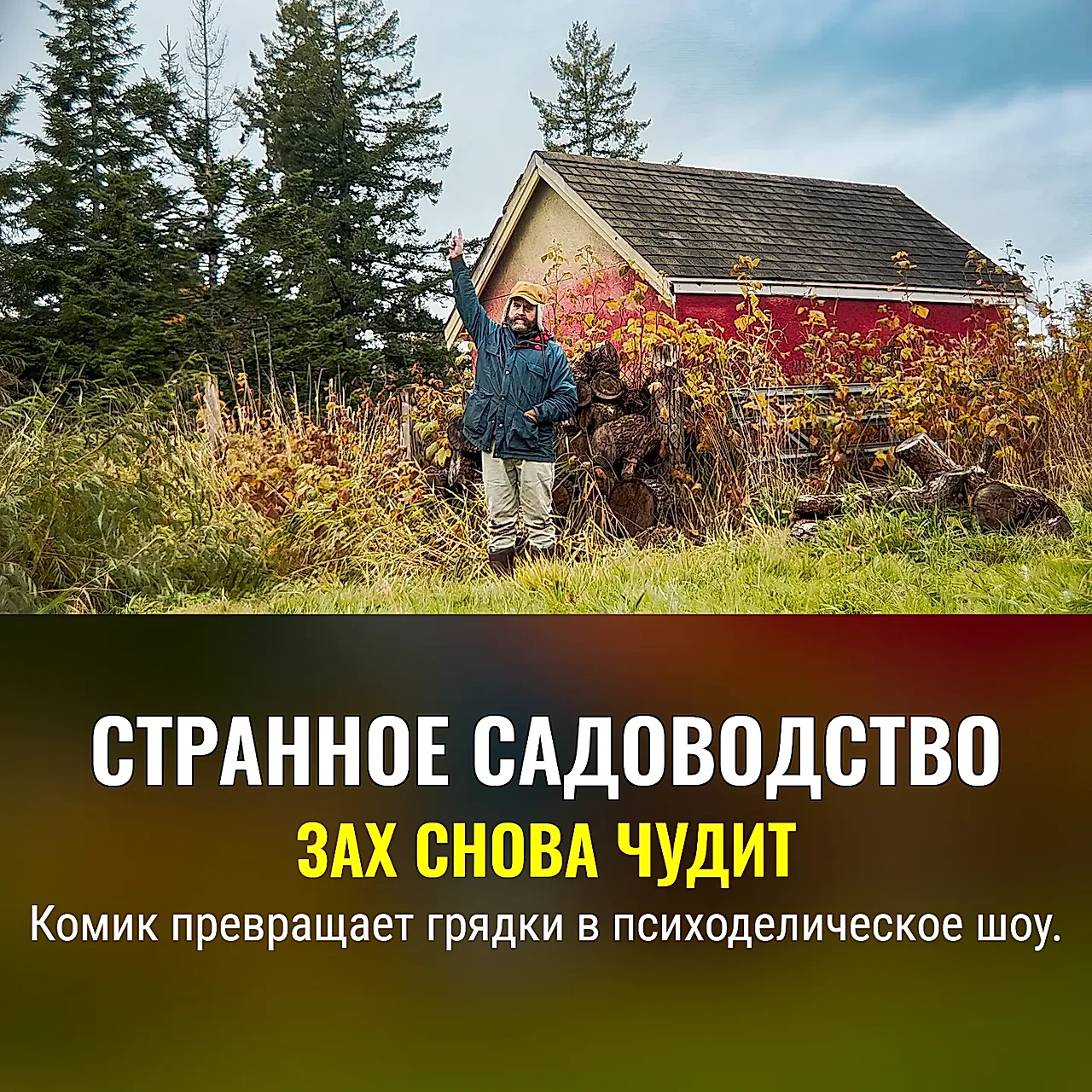 Зах Галифианакис и его странное садоводство