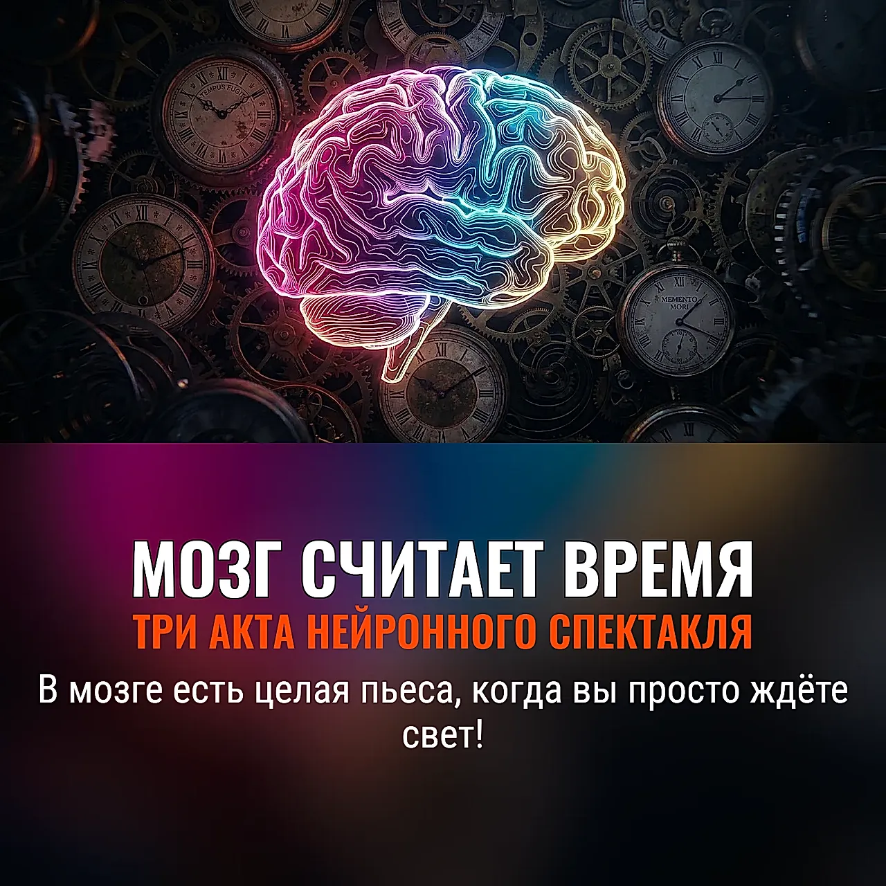 Человеческий мозг и восприятие времени: три этапа превращения мига в вечность