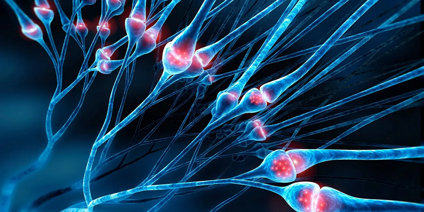 Как анорексия и опиоиды нашли общий язык: зайцы, леденцы и му-опиоиды