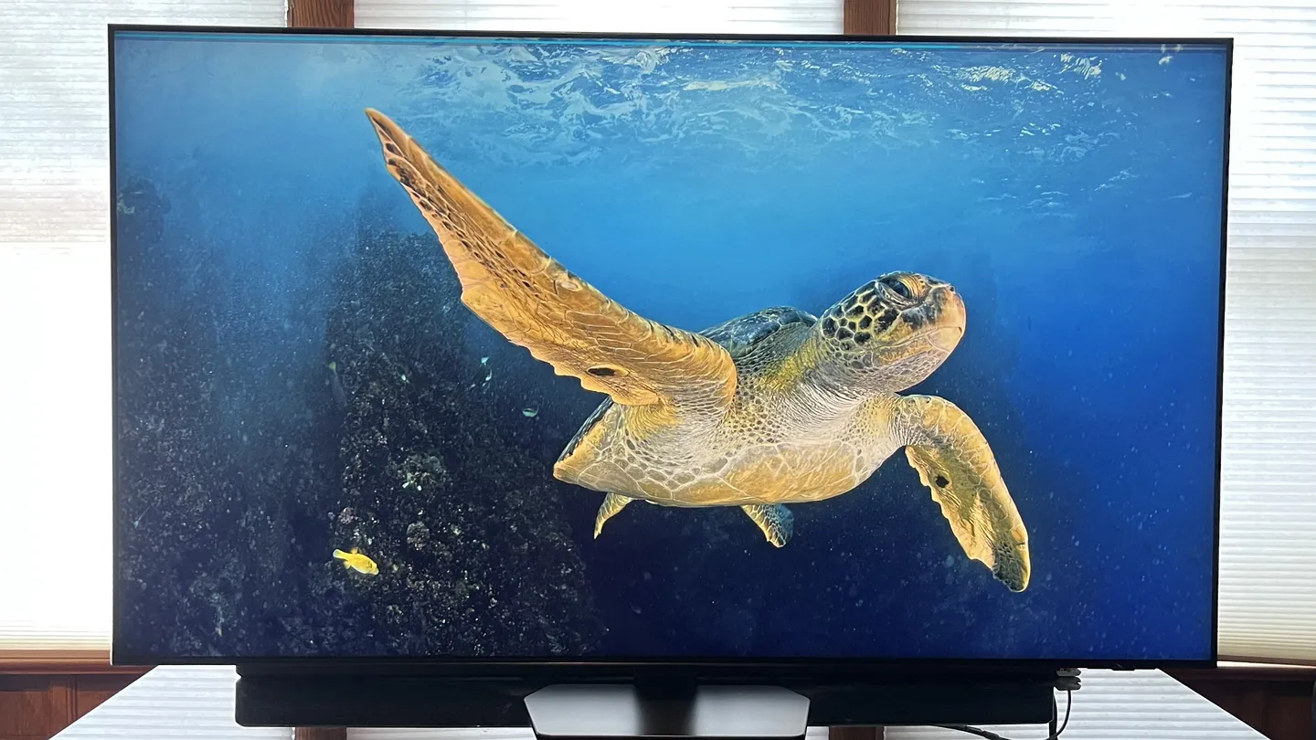 Лучшие телевизоры для просмотра спорта: Технология мини-LED на высоте!