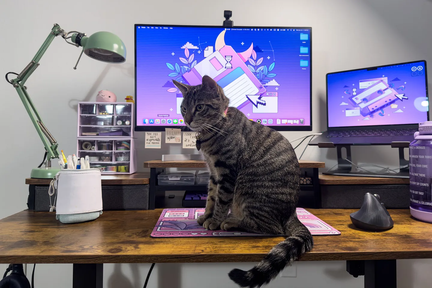 Почему я люблю беспроводную мышь Logitech MX Vertical?