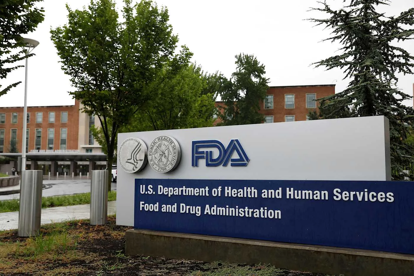 Искусственный интеллект FDA "Эльза" выдумывает исследования: скандал вокруг ИИ в медицине