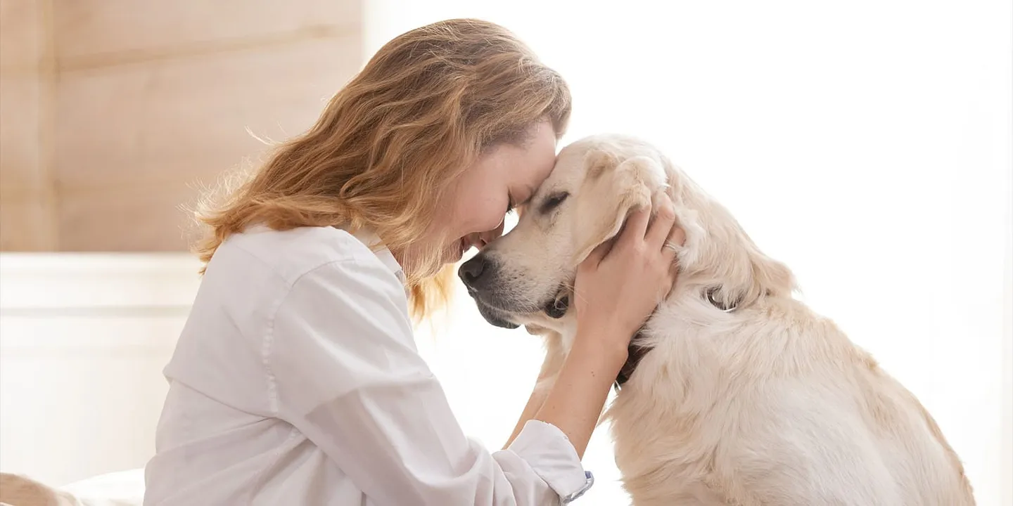 Как собаки понимают человеческие эмоции: наука объясняет