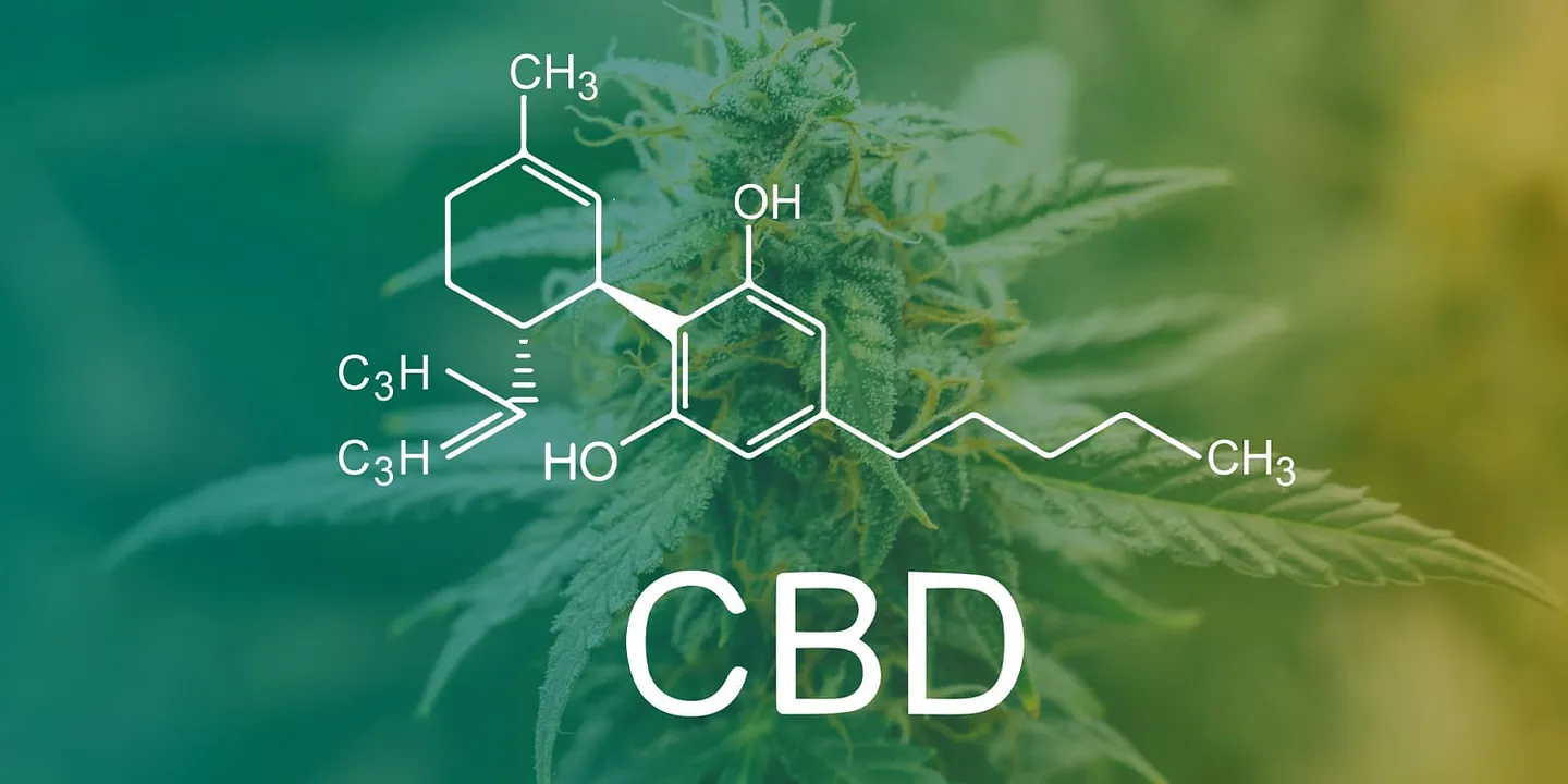 CBD: новая надежда для мозга
