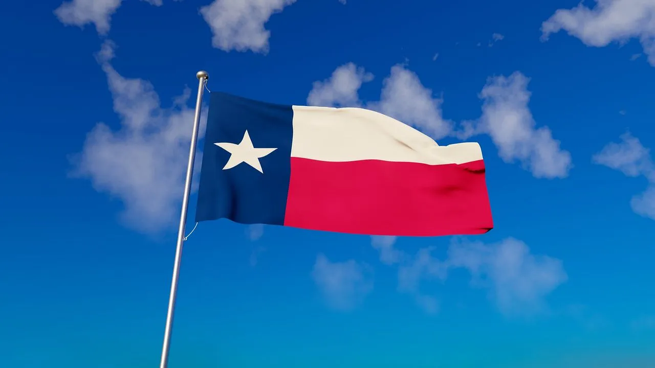 Большой Брат Texas: кому паспорт, кому VPN