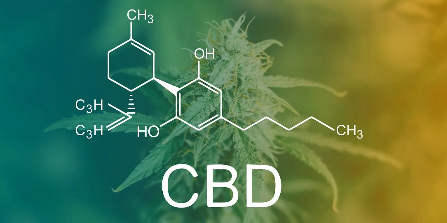 CBD усиливает негативные эффекты каннабиса при шизофрении: неожиданные выводы учёных