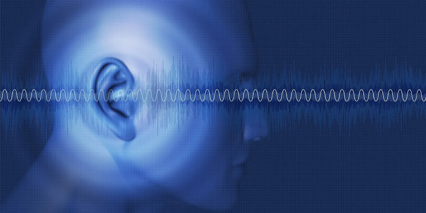 Как ходьба улучшает слух: мозг тренируется на ходу