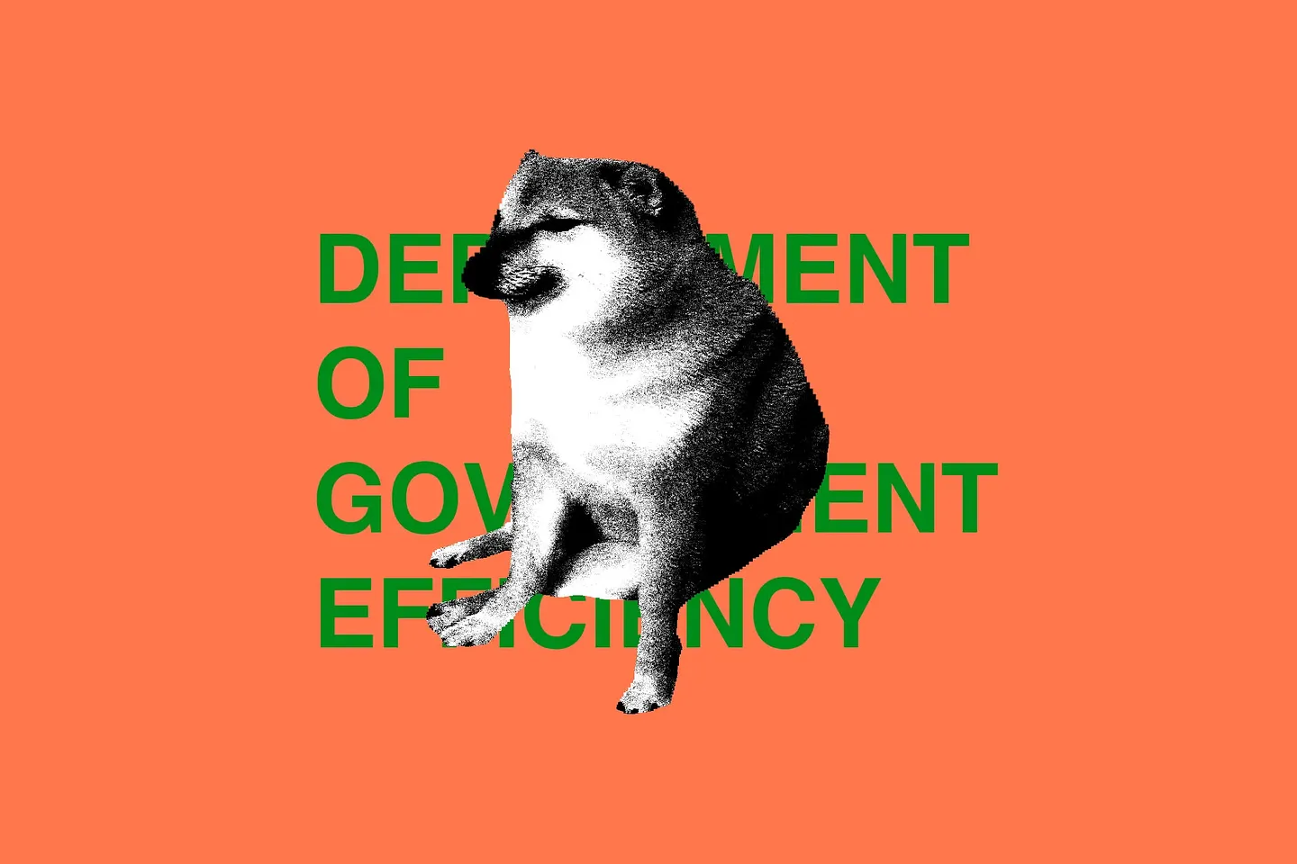 DOGE: хаос после ухода Маска
