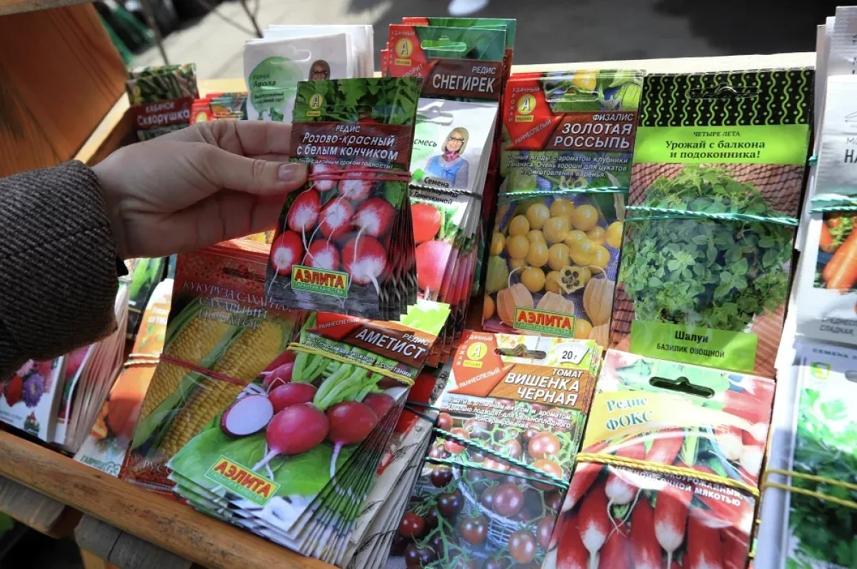 Осторожно: семена! На что смотреть при покупке