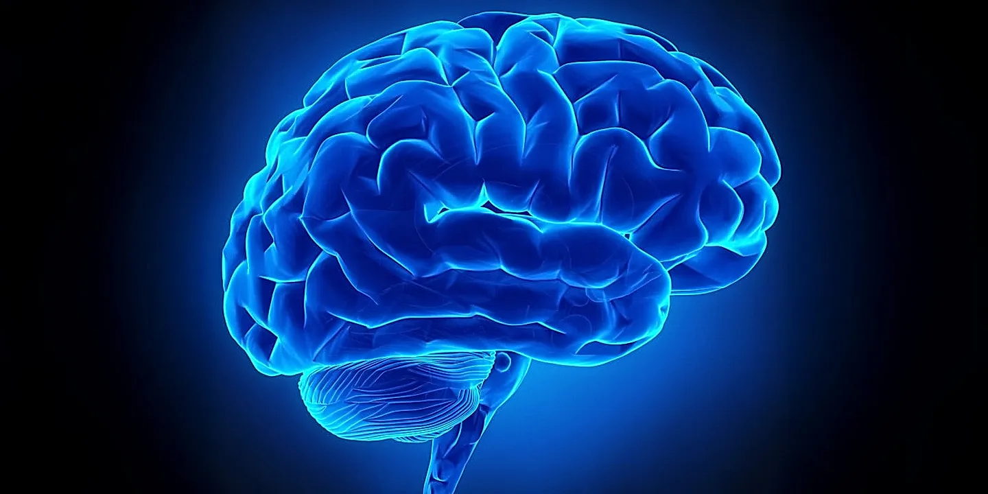 Как мозг разделяет речь?