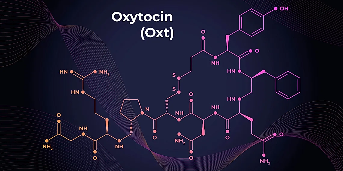 Окситоцин: креативность с изъяном