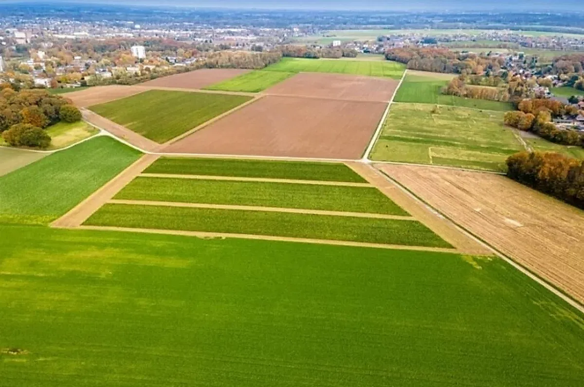 Кому дают землю после СВО: кто вправе претендовать и как получить участок
