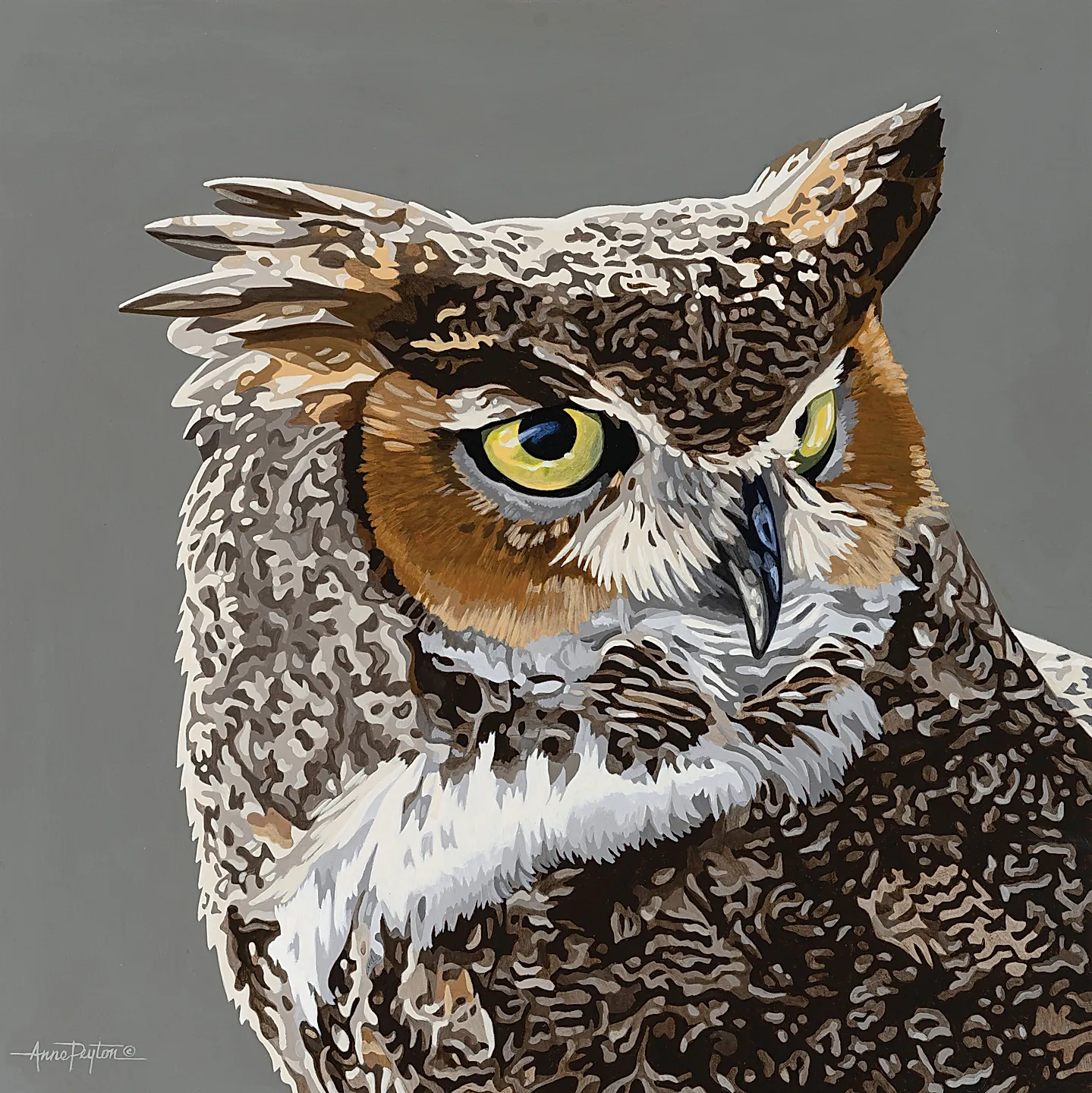 Искусство Великих равнин: Юмор и будни художников США и мира