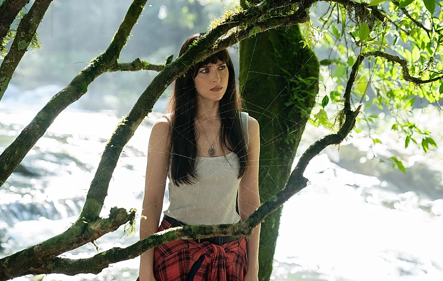 Дакота Джонсон: кинобизнес, цинично и изнутри