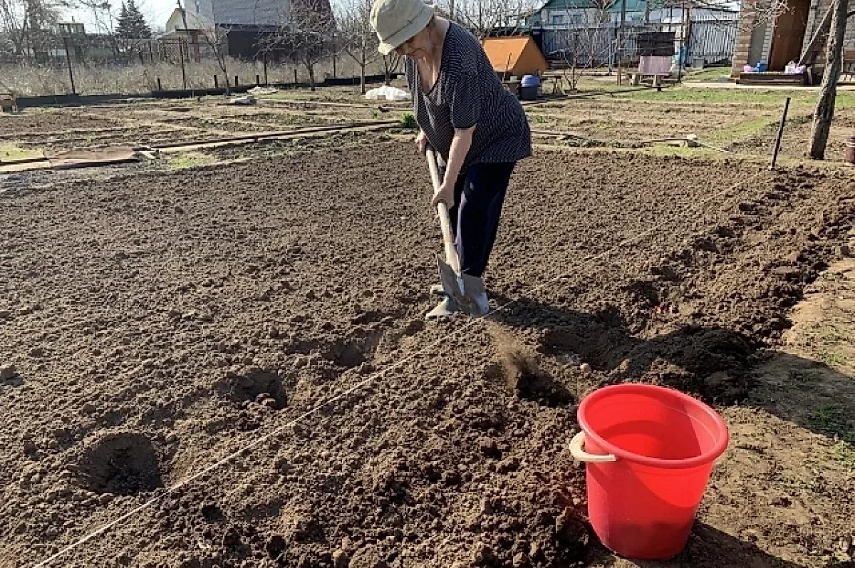 Лунный календарь для дачников: май 2026