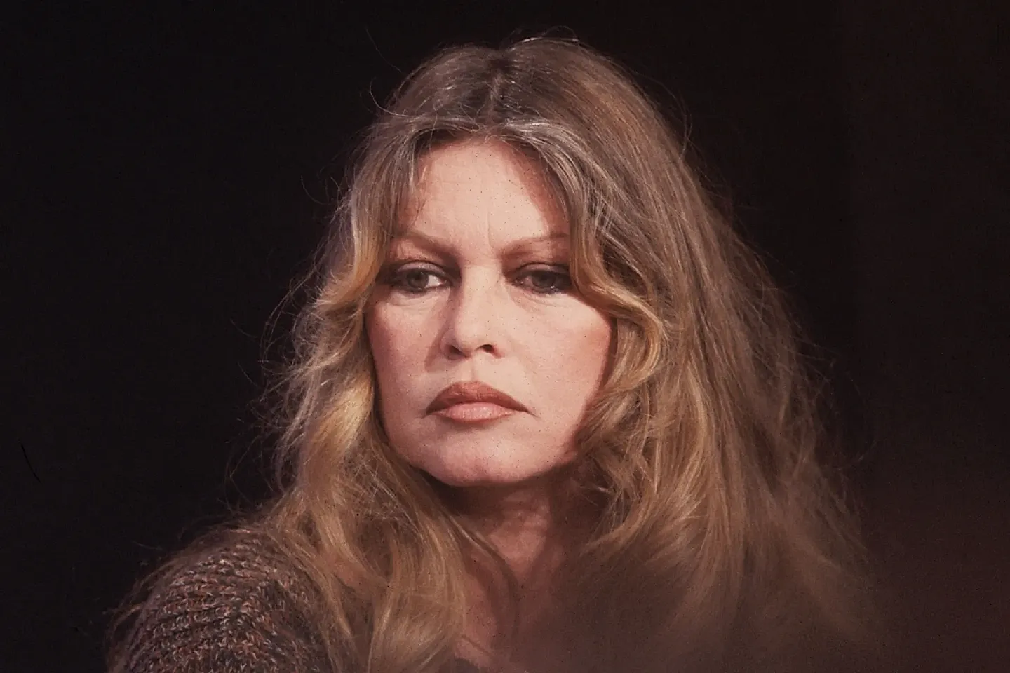 Брижит Бардо: от секс-иконы до скандальной защитницы животных и крайней правой